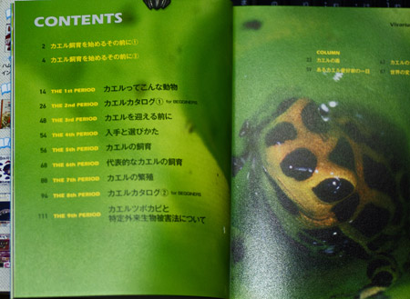 カエル飼育の本