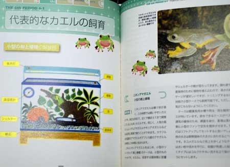 カエル飼育の本