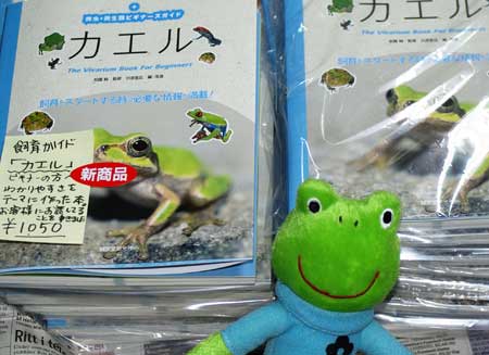 カエル飼育の本